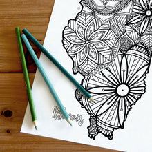 Load image into Gallery viewer, illinois usa coloring pages | state map coloring pages for adults | Coloring pages for kids | illinois usa map coloring sheets | state map coloring page | united states coloring page | united states of america | map of america