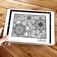 Load image into Gallery viewer, colorado usa coloring pages | state map coloring pages for adults | Coloring pages for kids | colorado usa map coloring sheets | state map coloring page | united states coloring page | united states of america | map of america