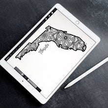 Load image into Gallery viewer, florida usa coloring pages | state map coloring pages for adults | Coloring pages for kids | florida usa map coloring sheets | state map coloring page | united states coloring page | united states of america | map of america