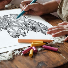 Load image into Gallery viewer, Ireland coloring pages | Coloring pages for adults | Coloring pages for kids | ireland map coloring sheets | ireland map | ireland map coloring sheets