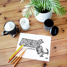 Load image into Gallery viewer, massachusetts usa coloring pages | state map coloring pages for adults | Coloring pages for kids | massachusetts usa map coloring sheets | state map coloring page | united states coloring page | united states of america | map of america