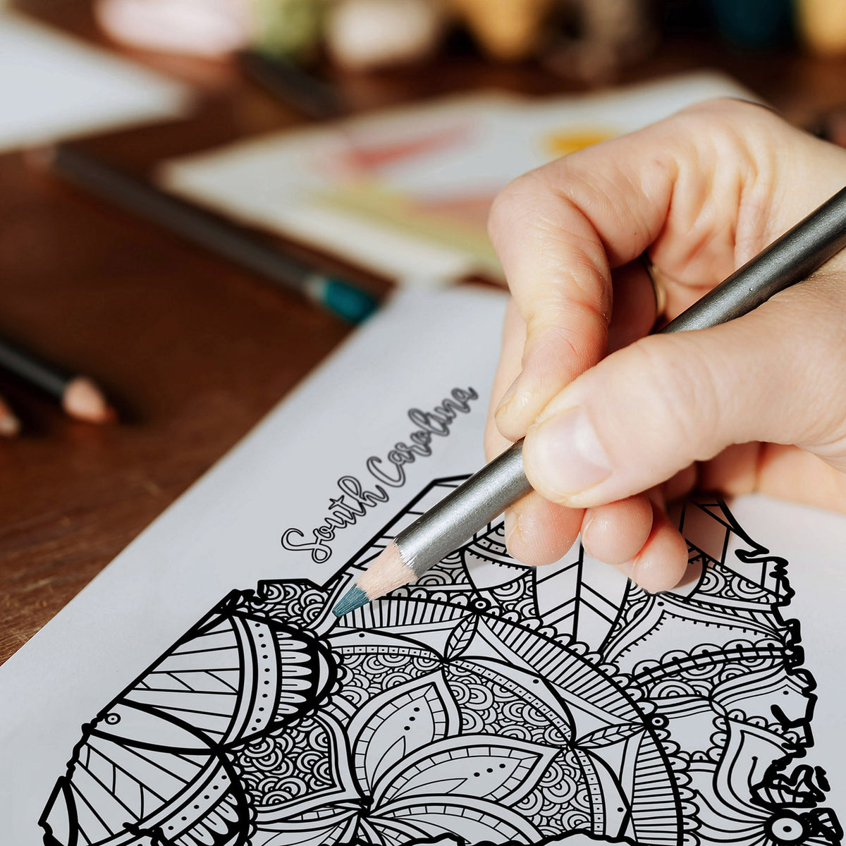 Coloring Pages South Carolina USA Map Ta Muchly